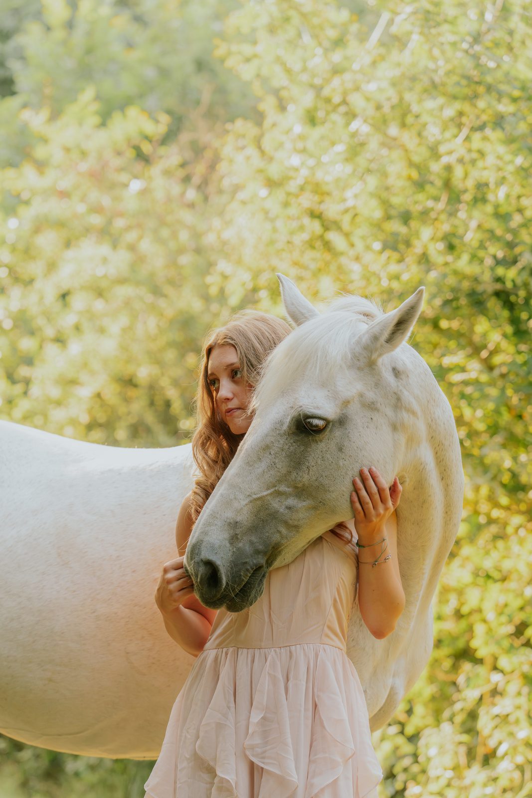 Equine portraits in natural light