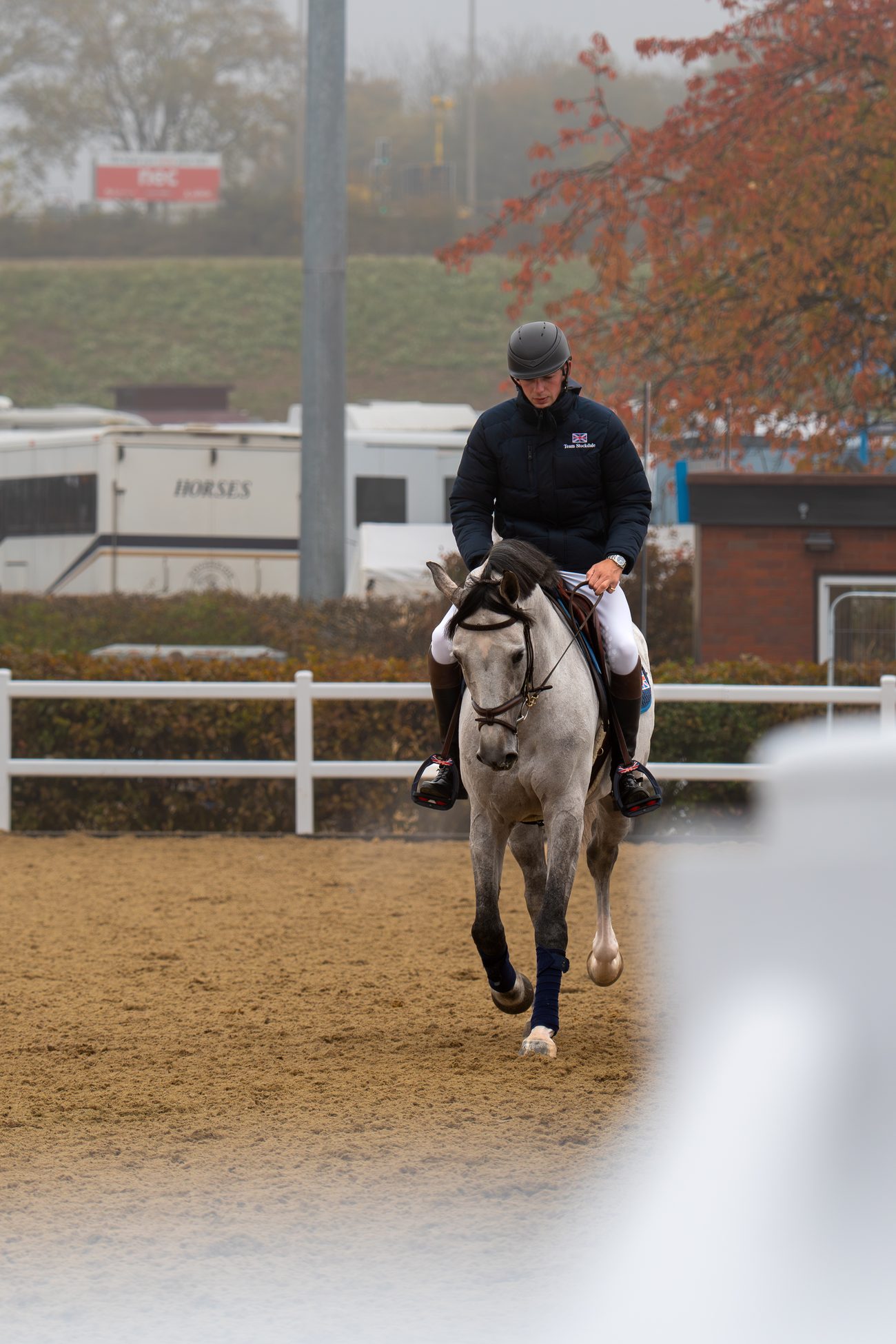 Equine event 2