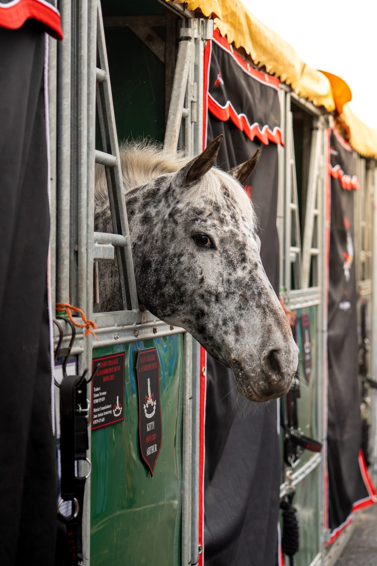 Equine event 7