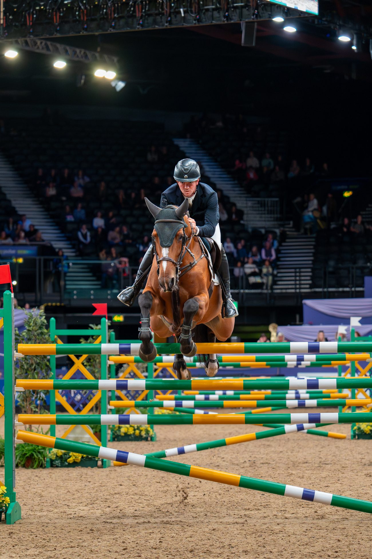 Equine event 5