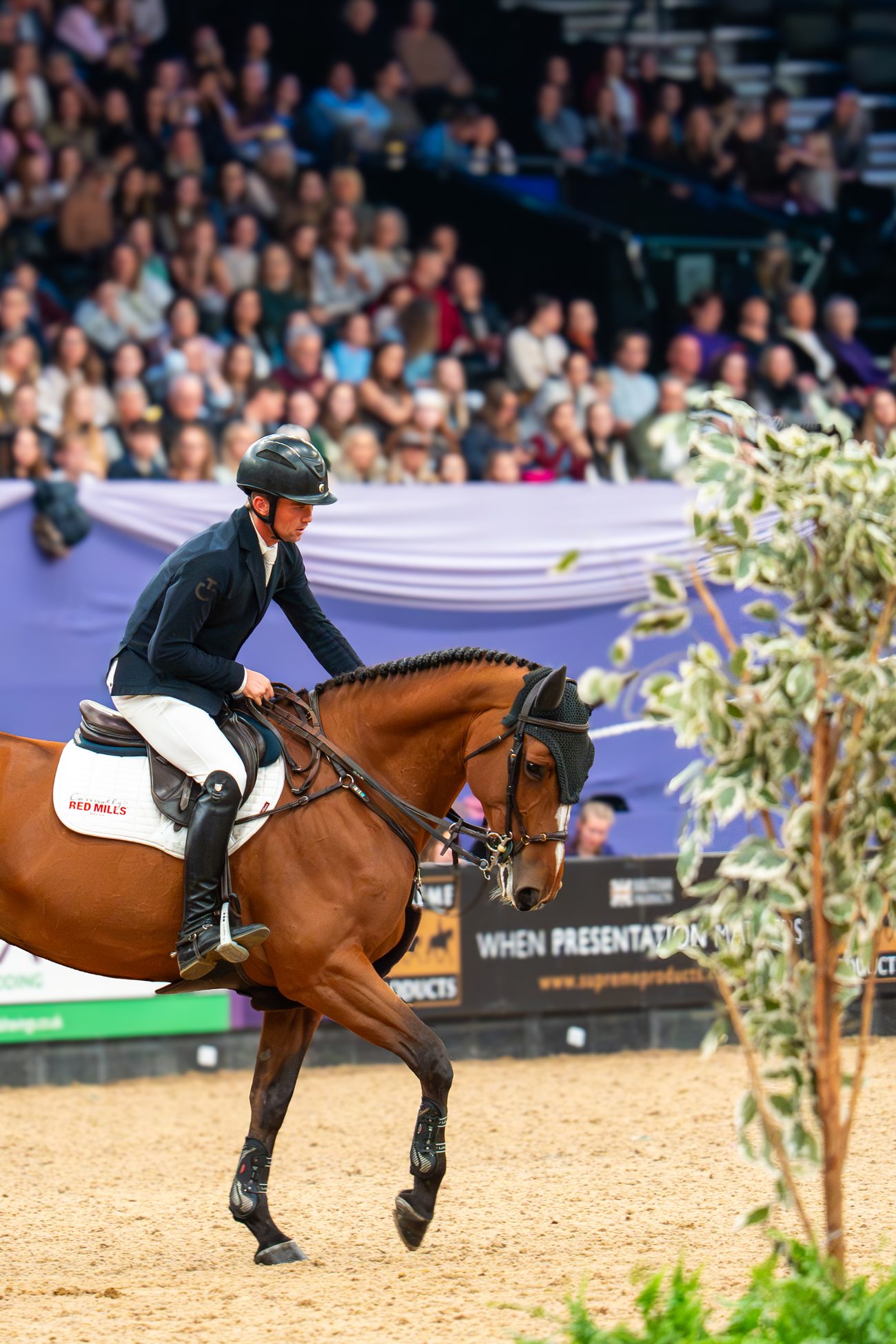 Equine event 13