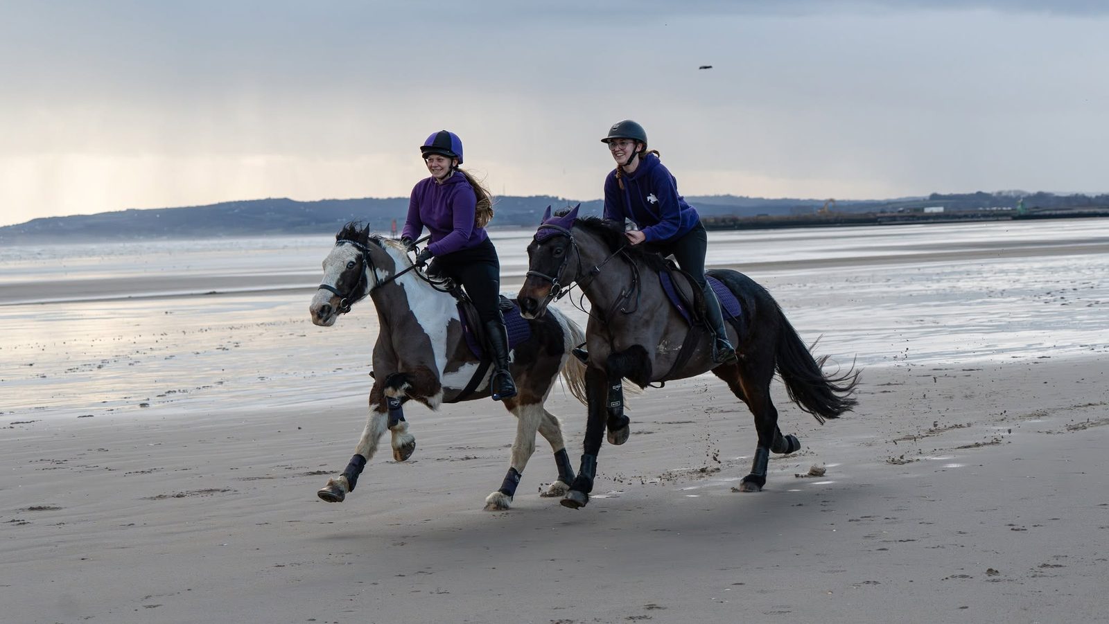 Outdoor equine 16