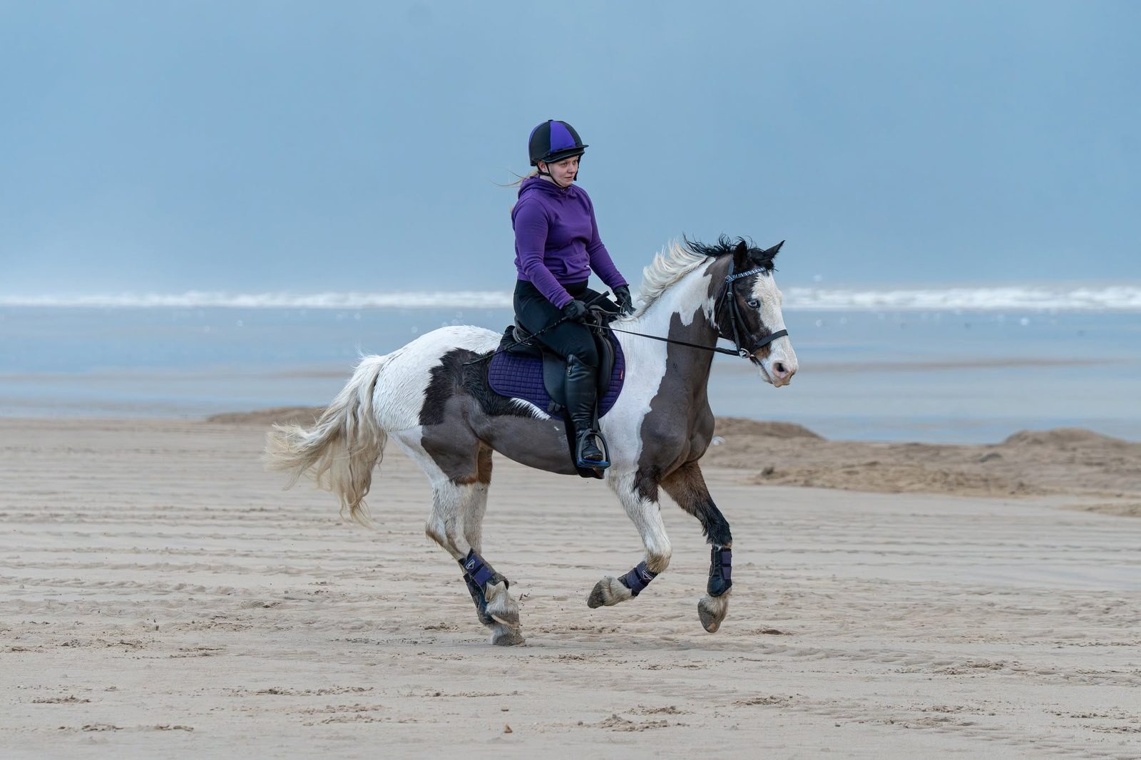 Outdoor equine 17