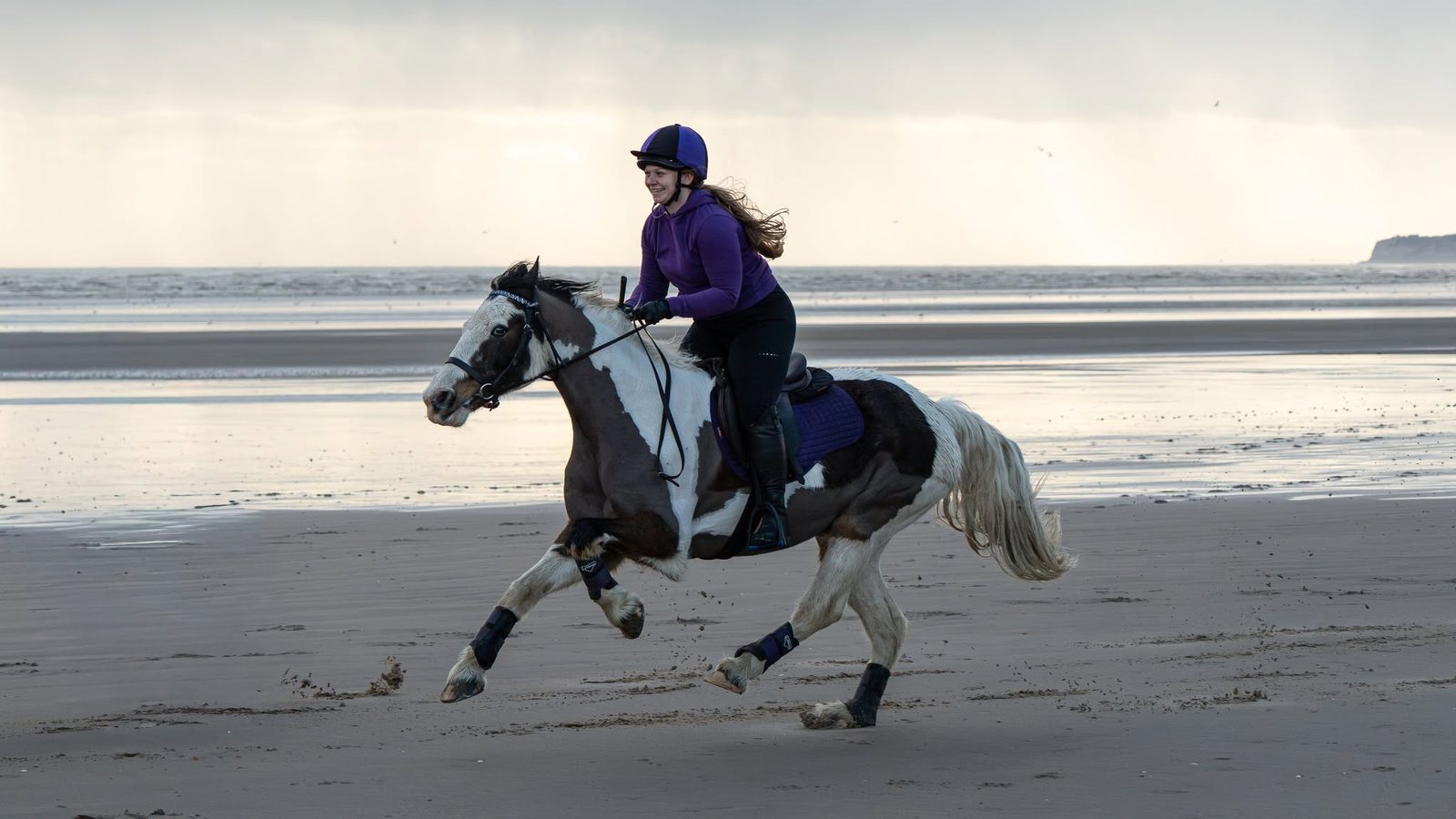 Outdoor equine 18