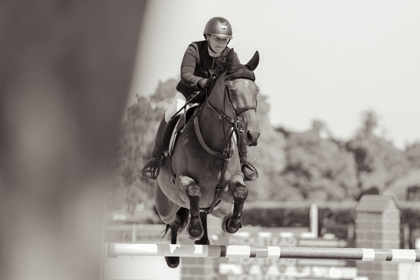 Showjumper clearing a fence, black and white