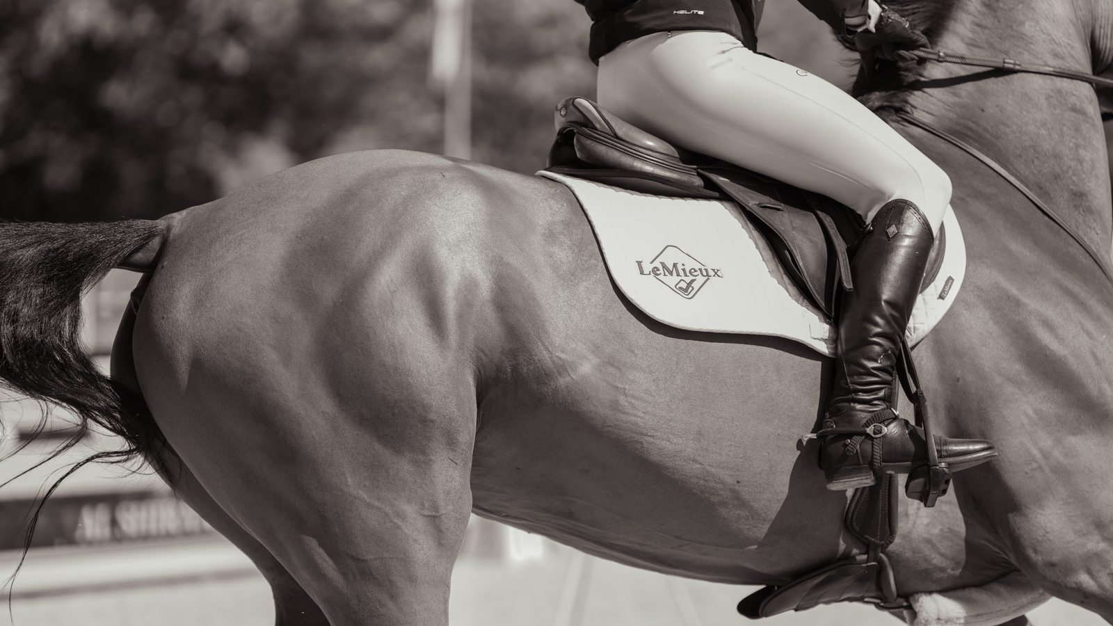 Showjumping over a spread fence, black and white