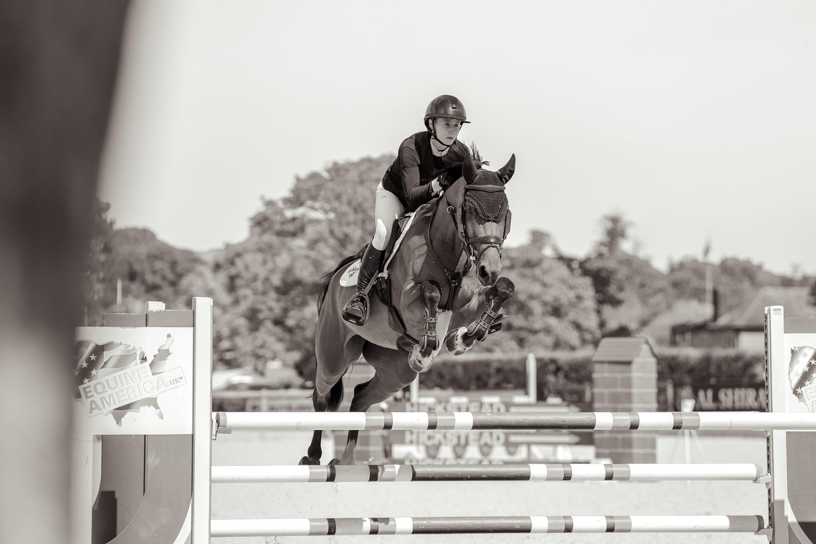 Horse jumping at the show, black and white