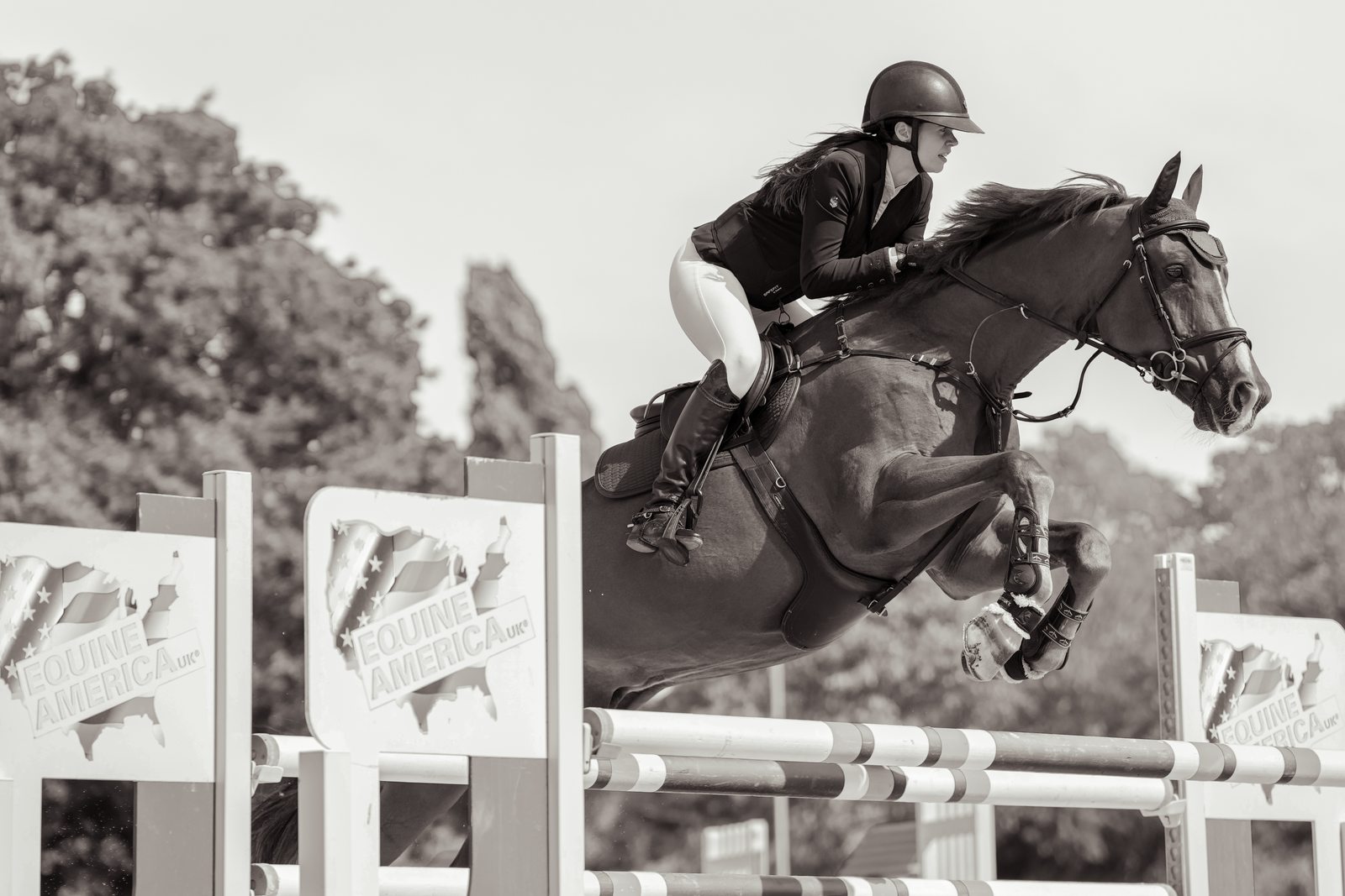 Showjumper mid-air over a fence, black and white