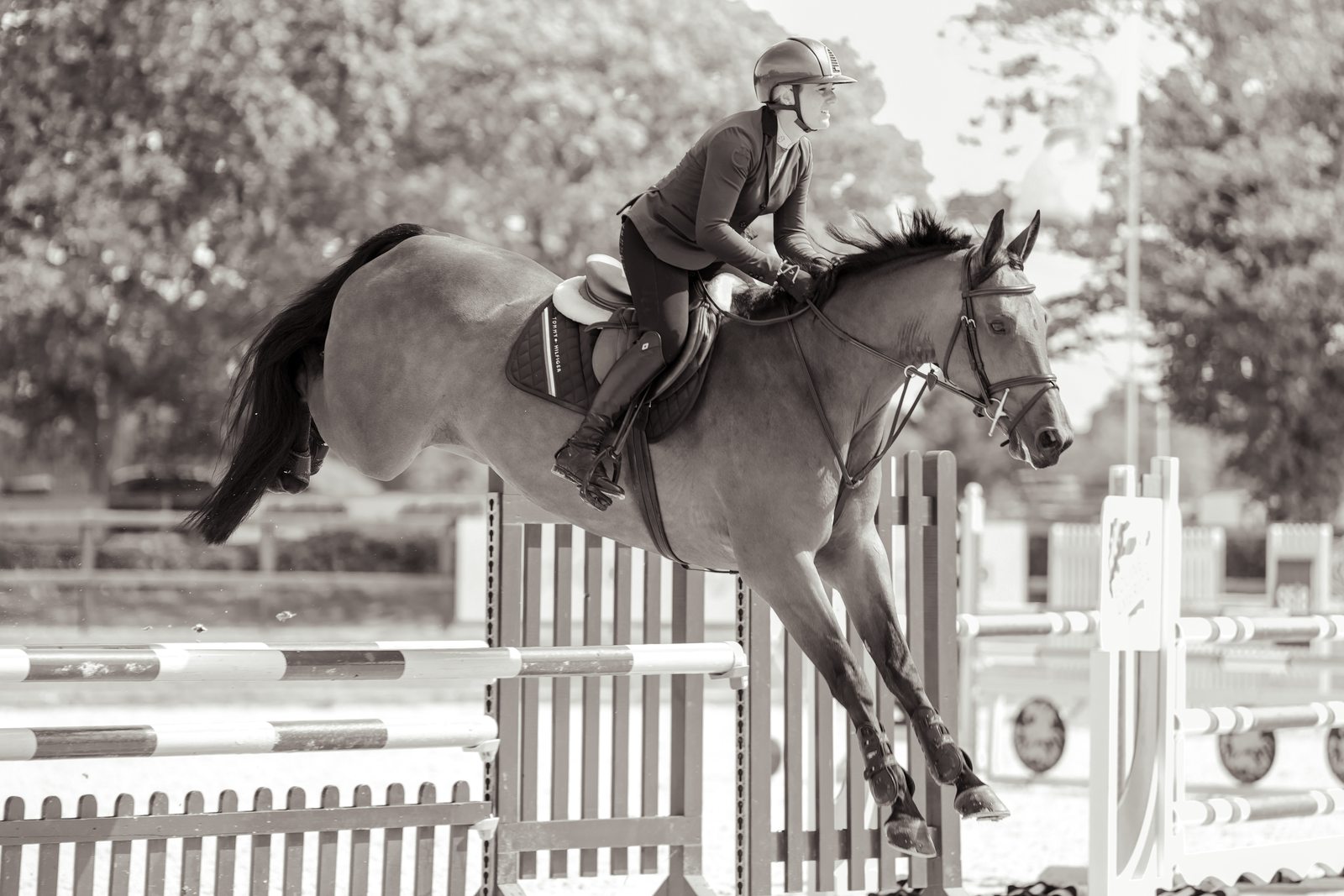 Horse jumping a gate, black and white