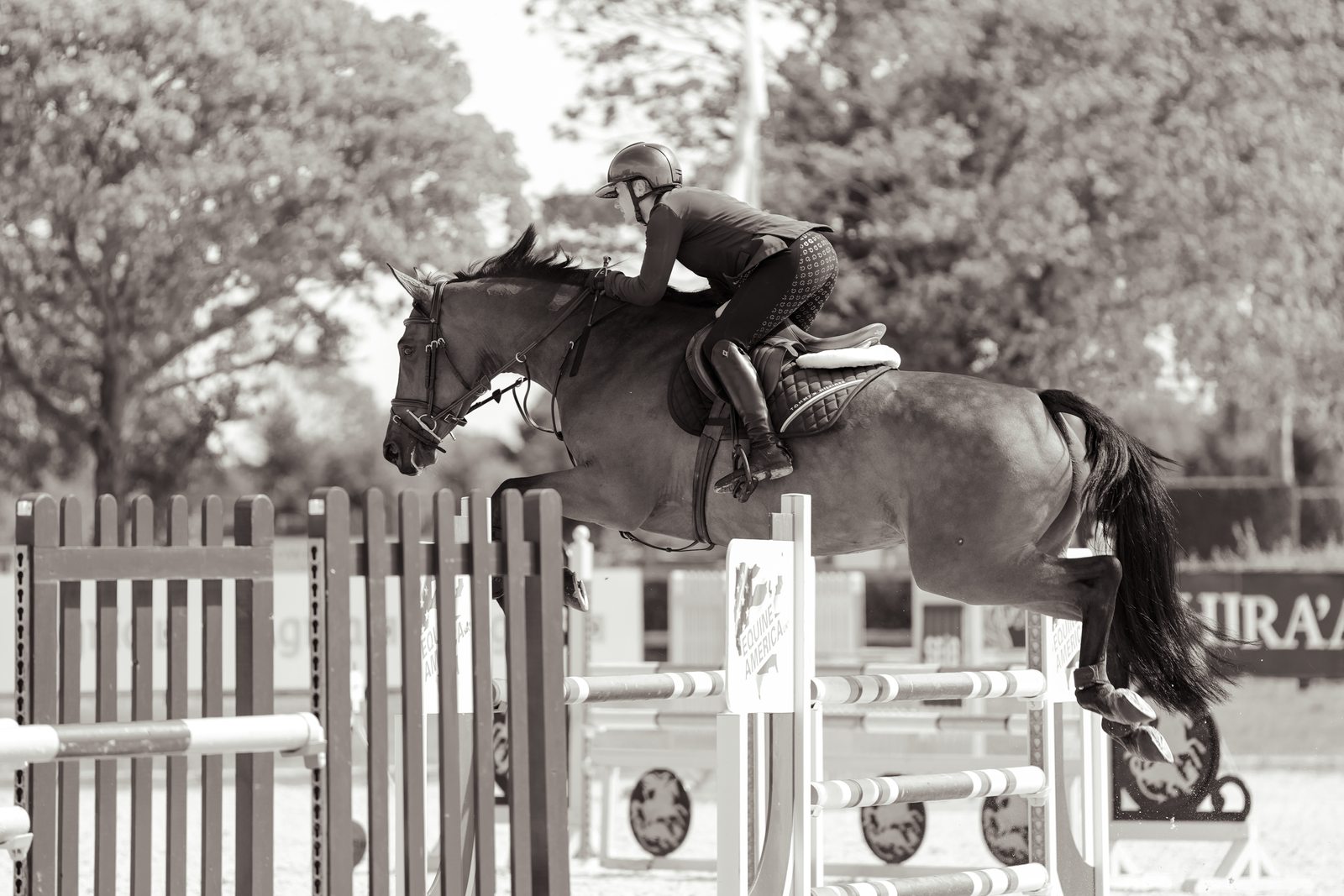 Showjumping in action, black and white