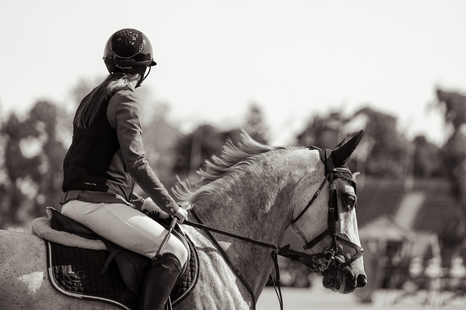 Rider cantering in the collecting ring, black and white