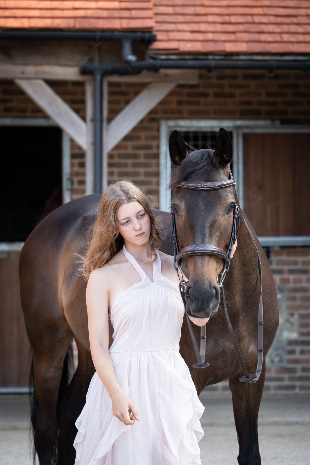 Outdoor equine 15