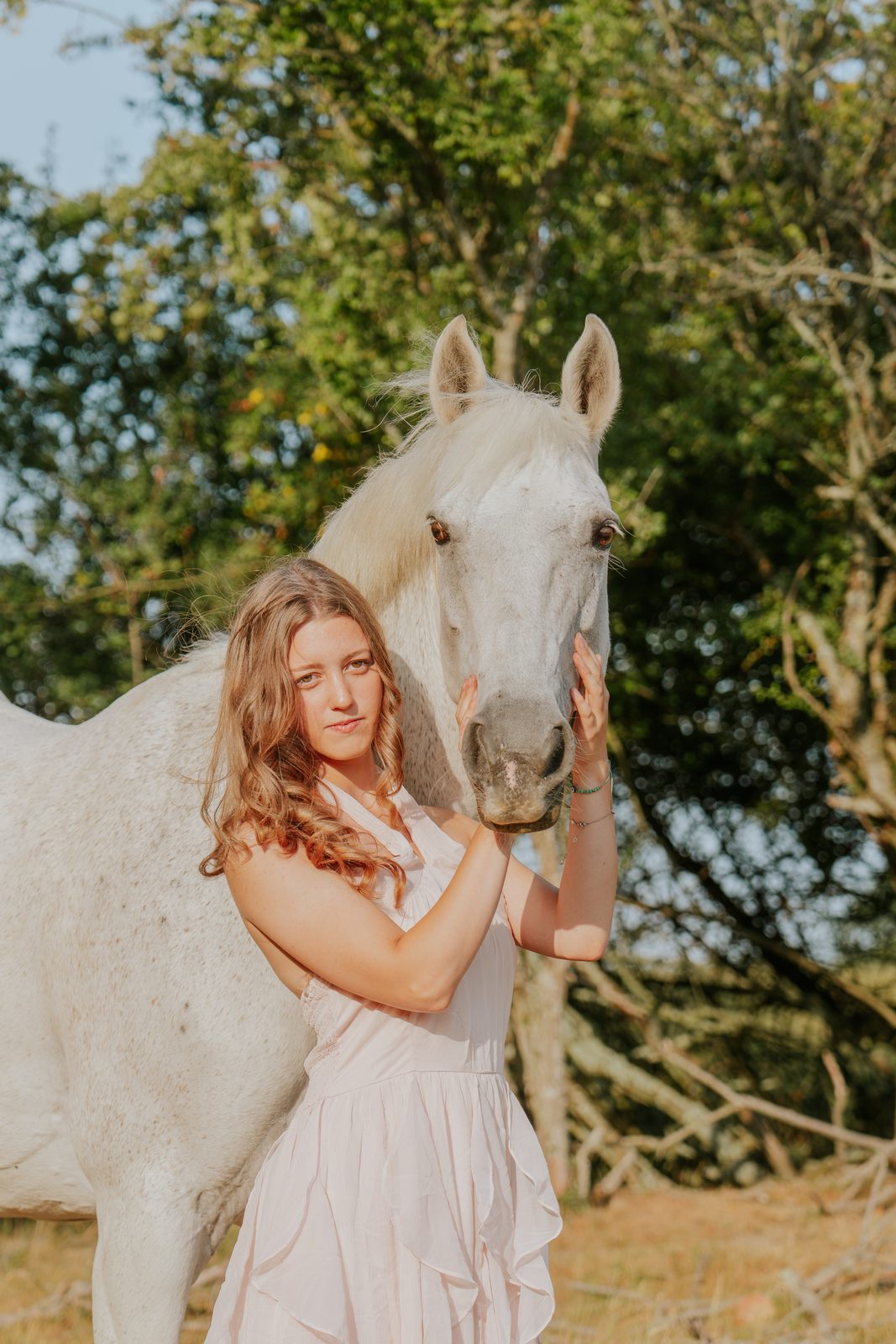 Outdoor equine 3