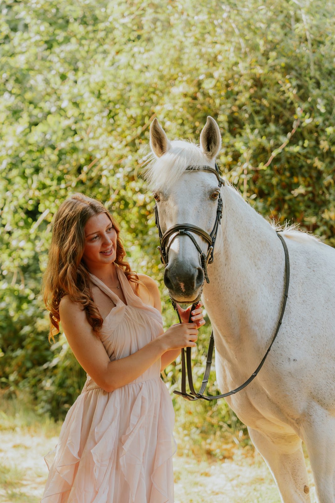 Outdoor equine 4