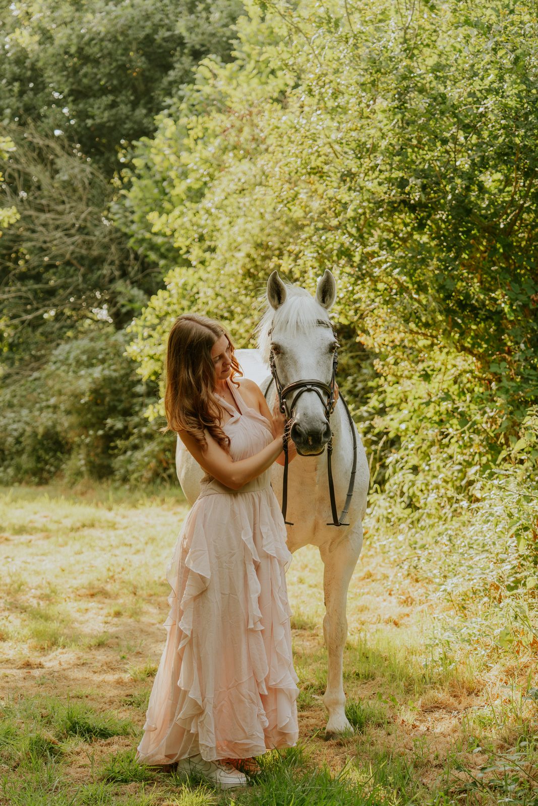 Outdoor equine 6