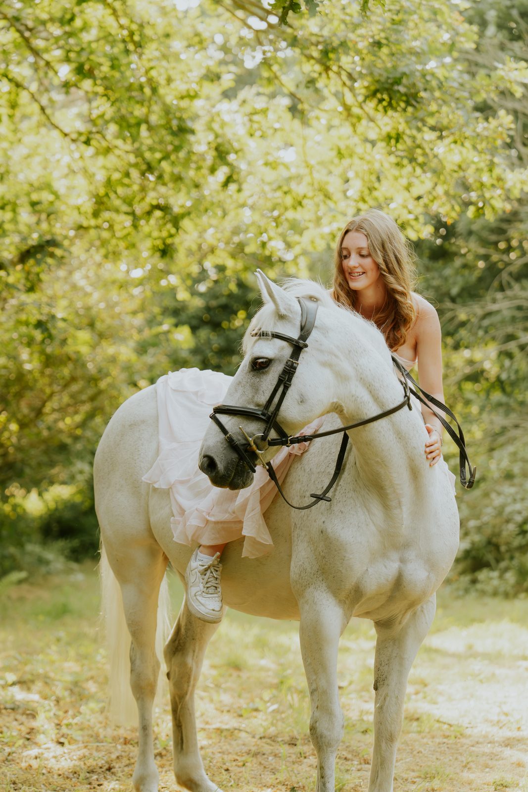 Outdoor equine 7