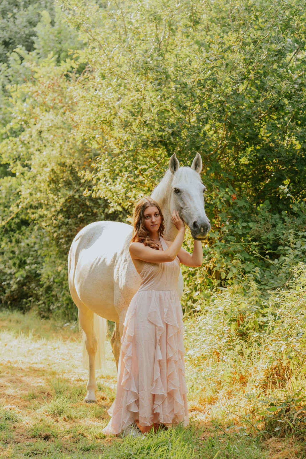 Outdoor equine 9