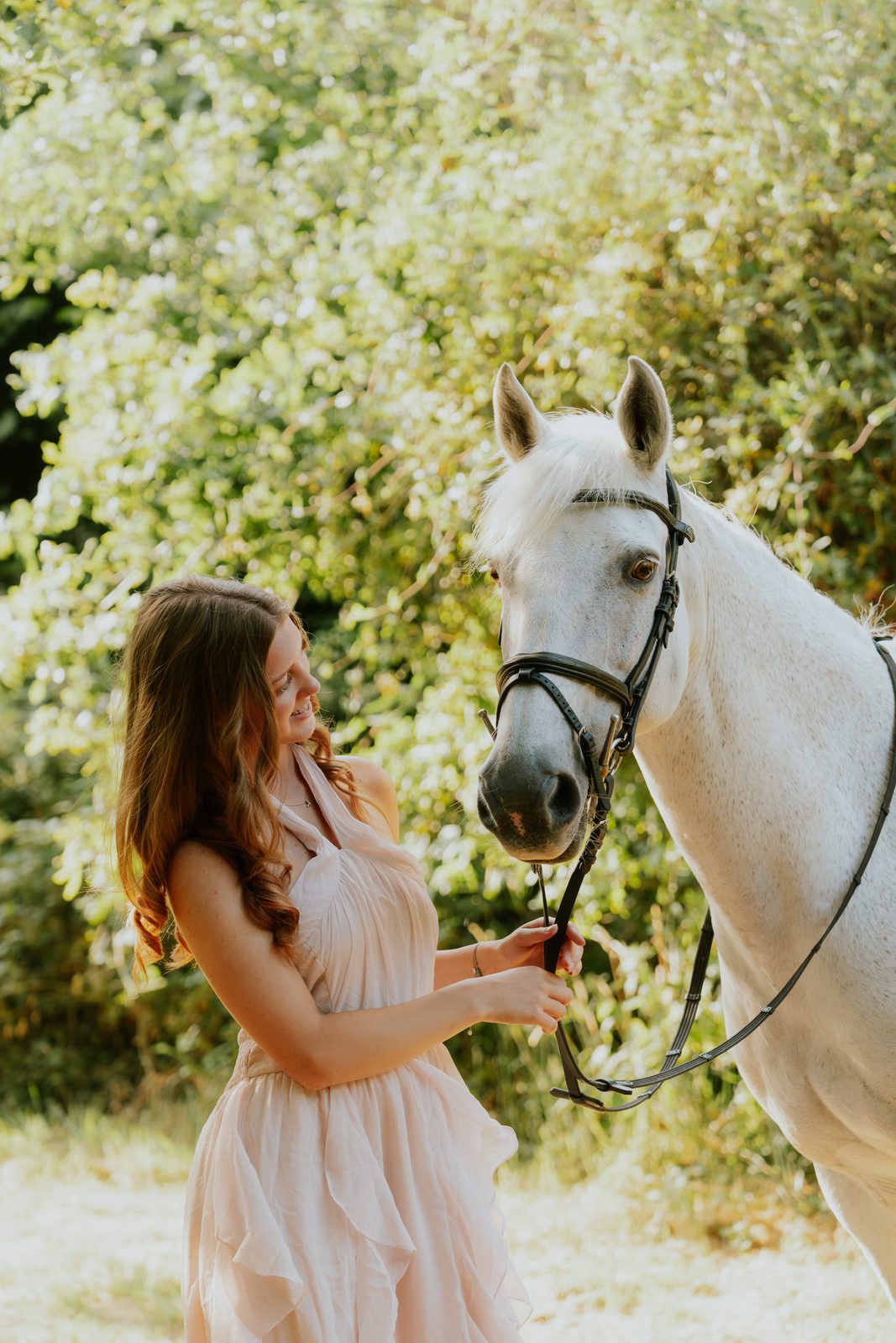 Outdoor equine 10