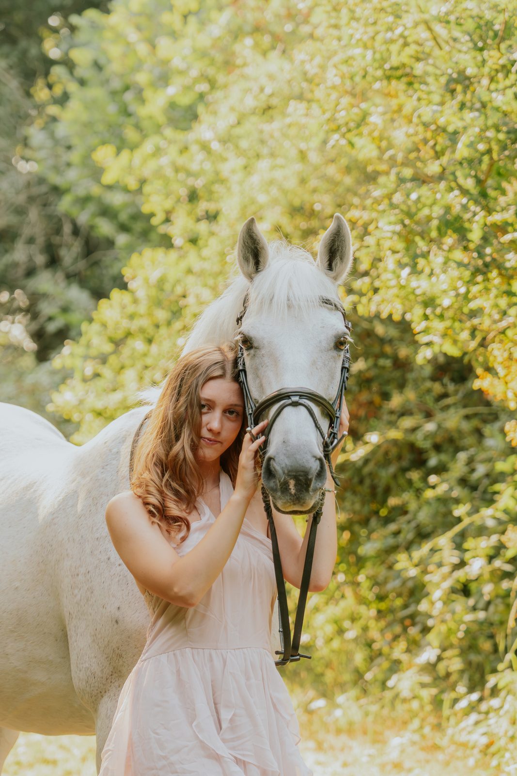 Outdoor equine 12