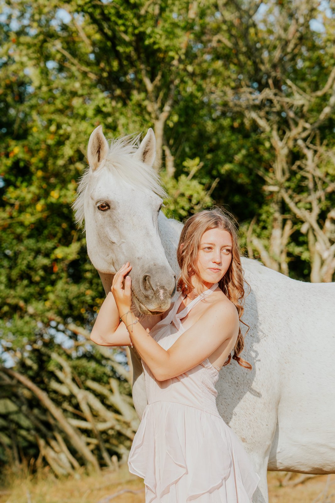 Outdoor equine 13