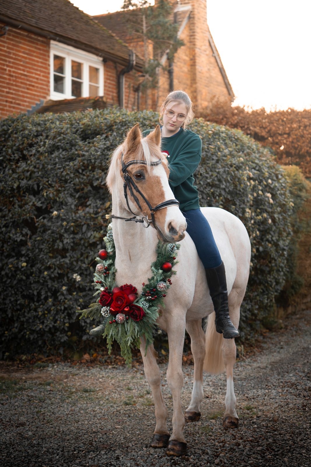 Seasonal equine 1
