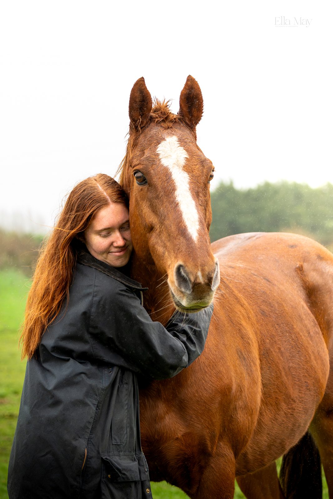Seasonal equine 12