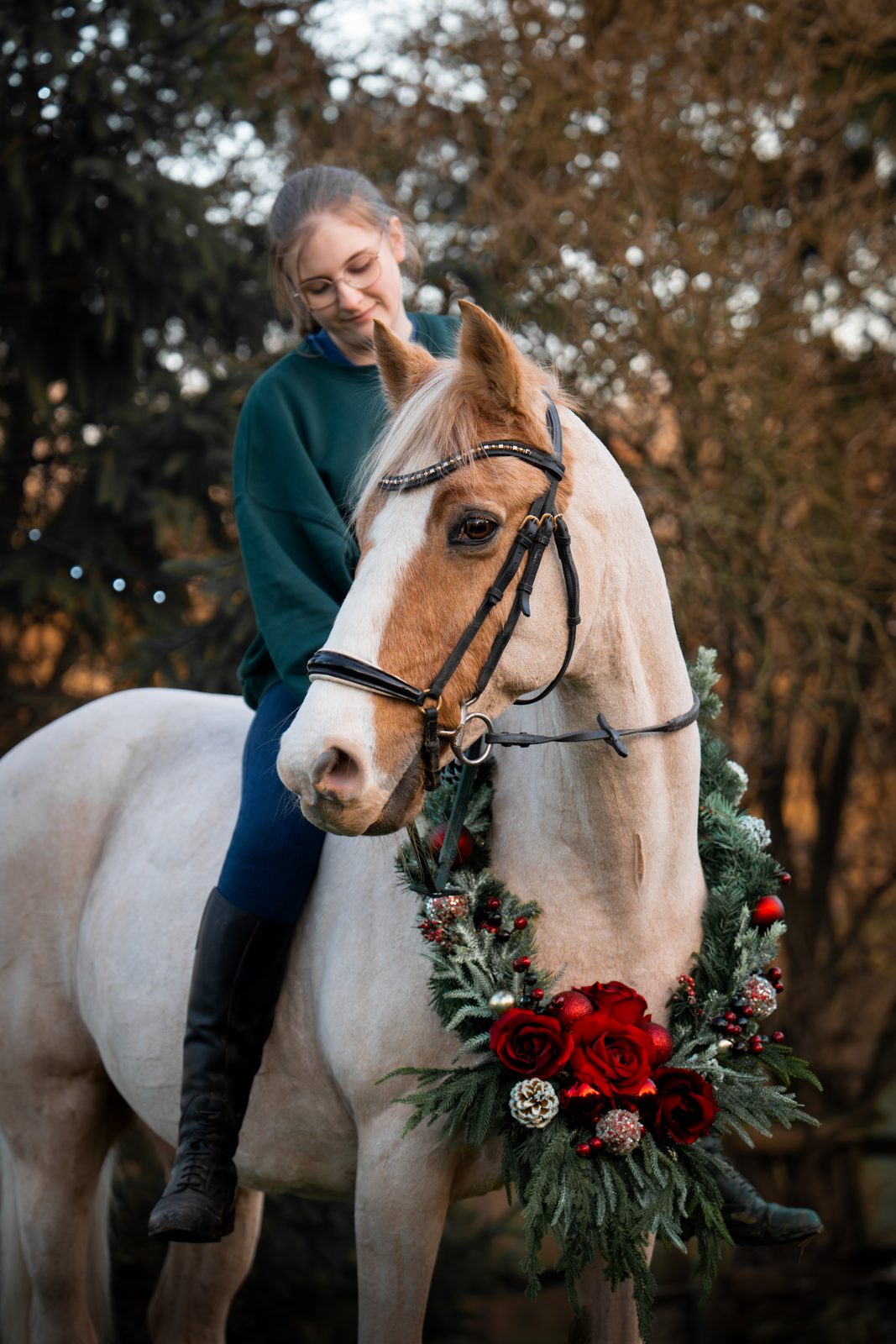 Seasonal equine 3