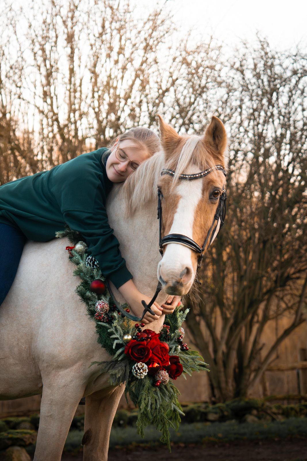 Seasonal equine 5