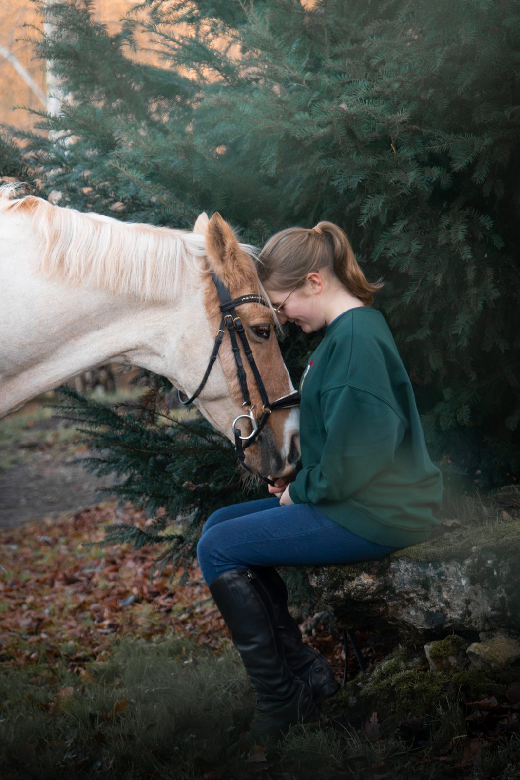 Seasonal equine 7